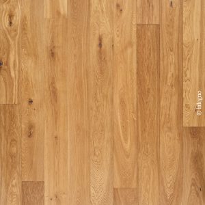 ABCD – CHALON – HUILE UV